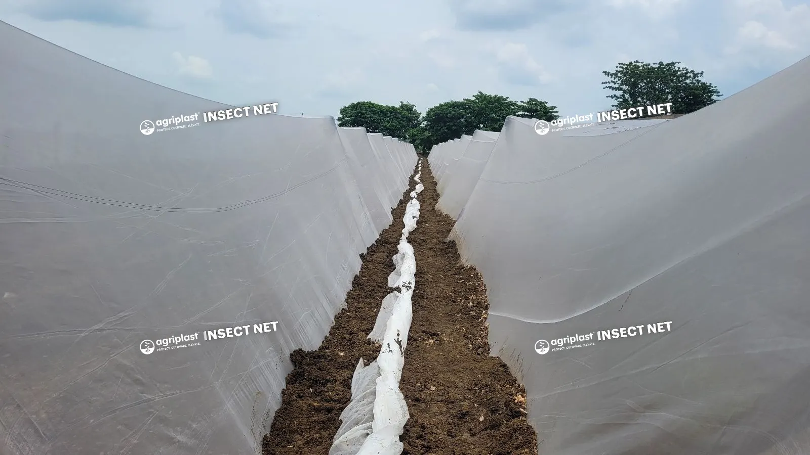 Agriplast UV Stabilized insect net